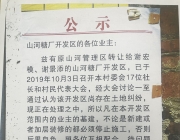 电白区岭门镇被指对违法用地及环境卫生问题处置迟缓