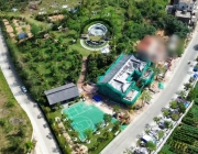 15亩集体林地遭非法侵占 吴川资源局督办7月无果