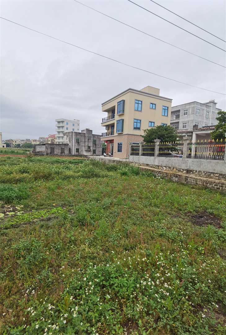茂名网友爆料电白树仔镇山美村干部农田上建豪宅，政府选择性执法引质疑